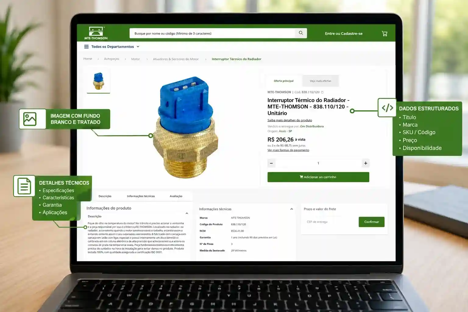 Laptop shows an MTE-THOMSON product page highlighting treated image, structured data, and technical details sections